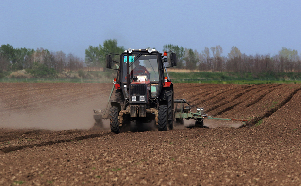 Привреда у Војводини различито реагује на последице светске епидемије: Вирус трактор не зауставља