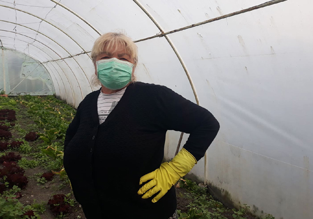 И Неготинци се свежим воћем и поврћем снабдевају онлајн: Спанаћ са фејсбук-пијаце