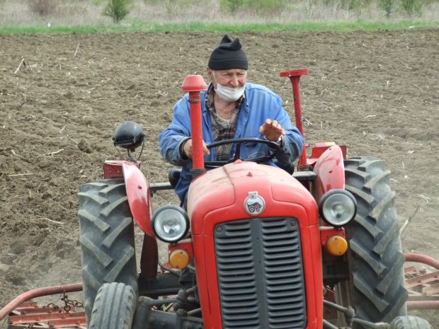 Вирус ће да прође, а хране мора да буде: Сетва у неготинском крају