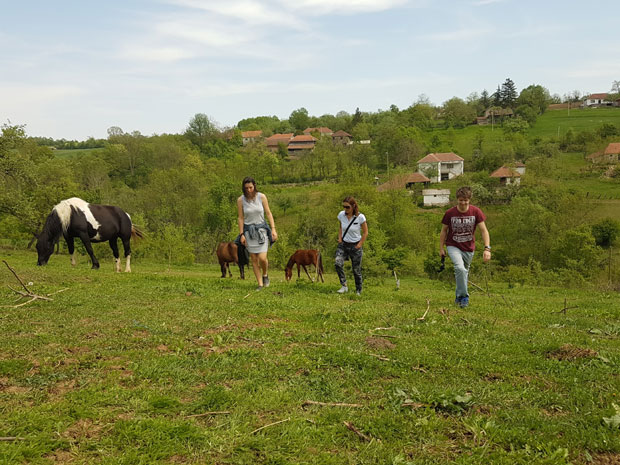 Сеоски туризам у Србији одолева уведеном ванредном стању: Вирус напунио вајате