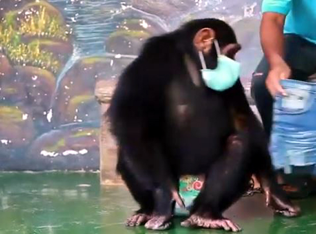 Зоо-врт својим поступком саблазнио борце за права животиња (ВИДЕО)