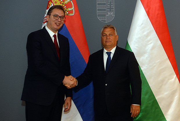 Кад Ковид-19 мутира у ПОЛИТИЧКИ ВИРУС...