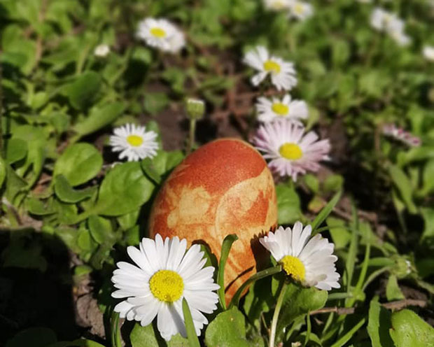 У Мокрину се налази најстарије ускршње јаје у земљи