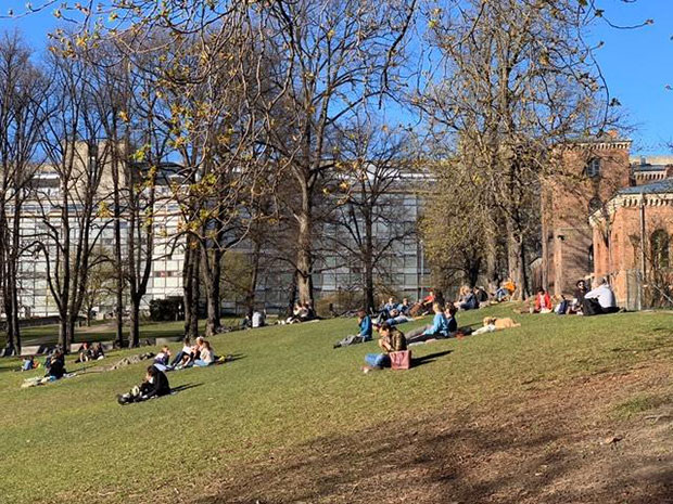 Сања годинама живи у Норвешкој, а сада нам је открила ТАЈНУ због чега ова земља нема пуно мртвих од короне иако НЕМАЈУ полицијски час (ФОТО)