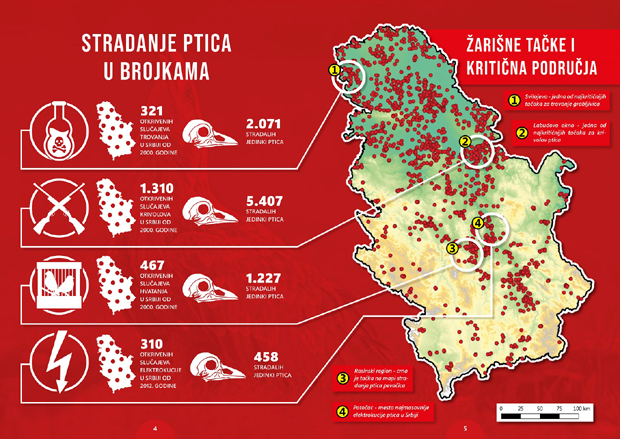 Како у Србији нестане и до 170.000 дивљих птица годишње