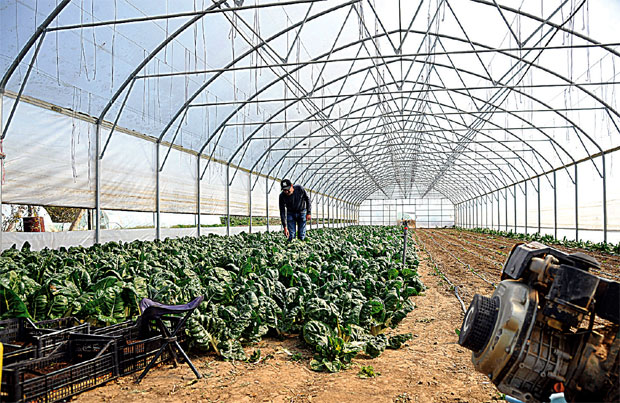 Пољопривредницима од данас на располагању 2,6 милијарди динара: Помоћ државе малим газдинствима