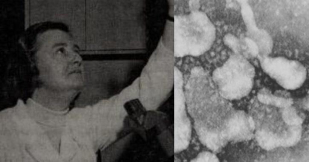 Ово је прича о жени која је ПРВА, пре пола века, уочила ВИРУС КОРОНА