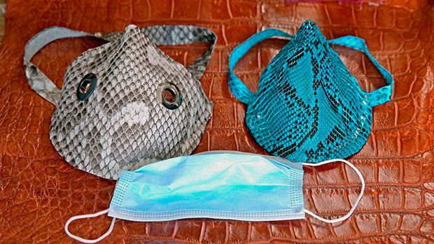 На Флориди продају маске за лице од питона и крокодила (ВИДЕО)