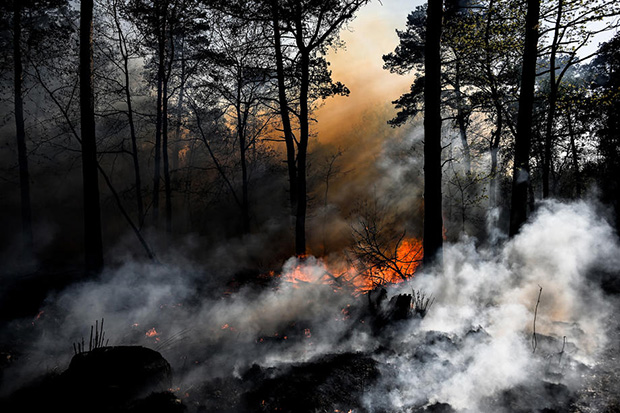 У Сибир стиже незапамћени ТОПЛОТНИ ТАЛАС: Температура до чак 30 степени, земља страхује од ПОЖАРА