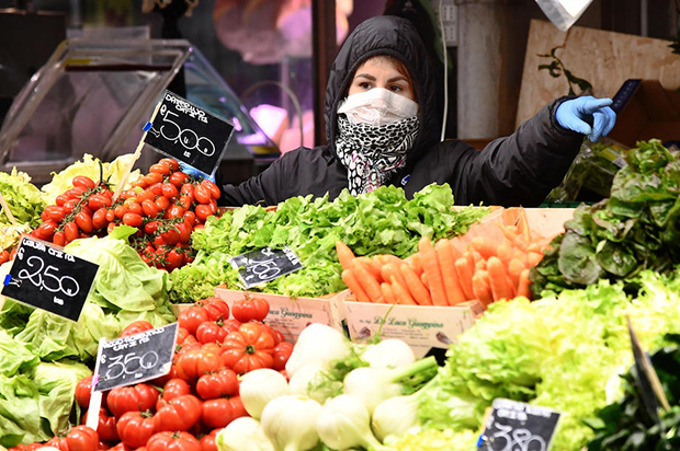 Труне италијанско поврће и воће на њивама