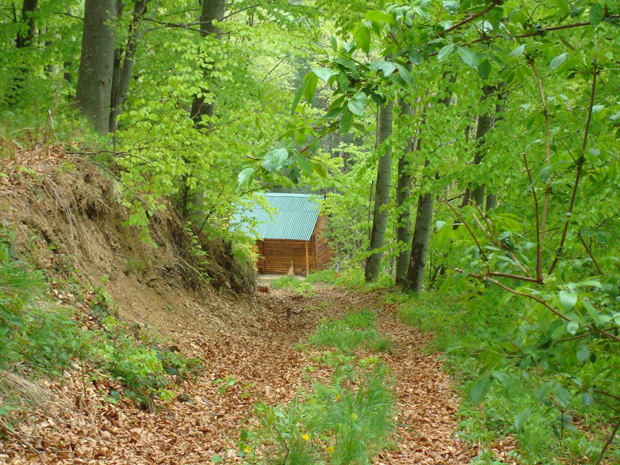 Насилник имао помагача: Истрага о отмици жене из Бора