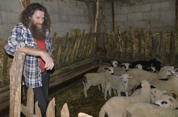 Пре ће овце дати вуцима него накупцима: Невоље сточара око Љубовије