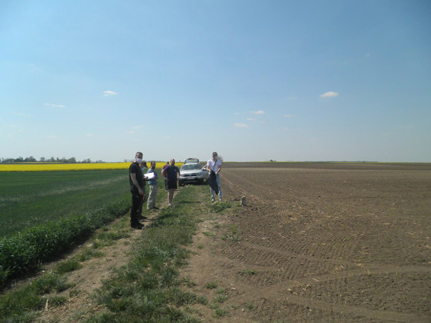 Поново тровање дивљих животиња у околини Бачке Тополе: Страдале чак и строго ЗАШТИЋЕНЕ врсте (ФОТО)