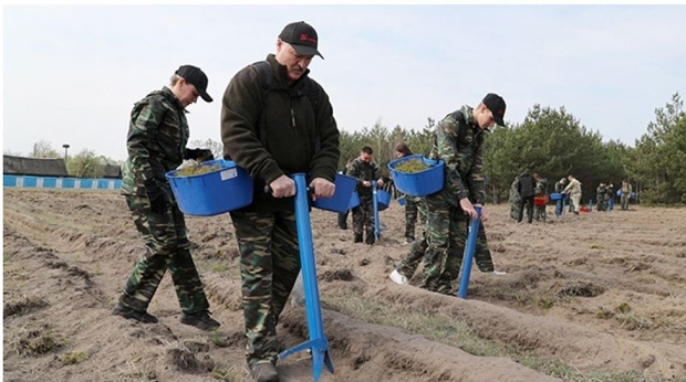 Лукашенко неће да га тестирају, има јак имунитет: У Белорусији заражено 16.000, а преминуло 97 људи
