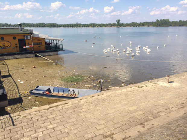 Због ниског водостаја обале река затрпане смећем: Чишћење после ванредних мера