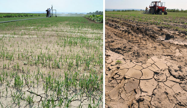 Министарство екологије покренуло национални програм: Србија креће у борбу против суше