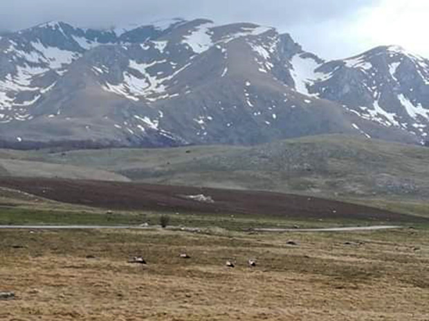 Зима се вратила на Жабљак: Роде дочекао снег (ФОТО)