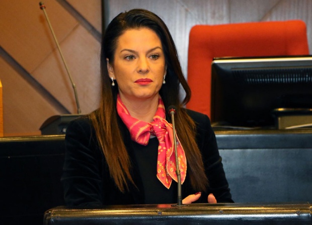 Марија Обрадовић: Данило  је мета напада, само зато што је његов отац Александар Вучић