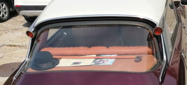 Шпијунка: Штап у Живковићевој ајкули