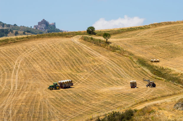 Италијанска влада У РАСКОРАКУ око регулисања боравка имиграната за рад на пољима