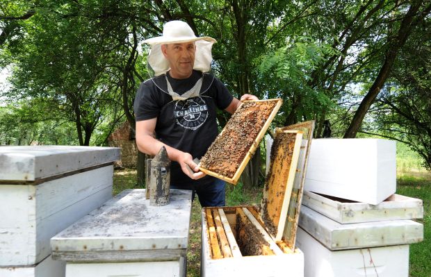 Градски новац стиже сељацима: Наставља се додела субвенција