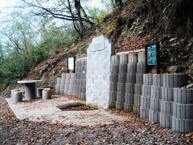 Tри дeчaкa из Moдричe зaлутaлa у шуми Majнa: Уследила је петочасовна потрага