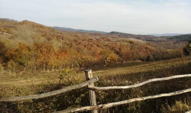 Врањанац копао њиву, па пронашао гранату