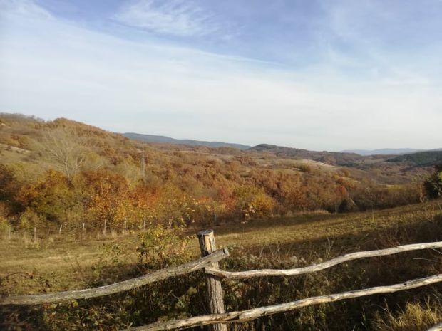 Уклоњена топовска граната са њиве: “Заоставштина” из Другог светског рата у селу код Врања