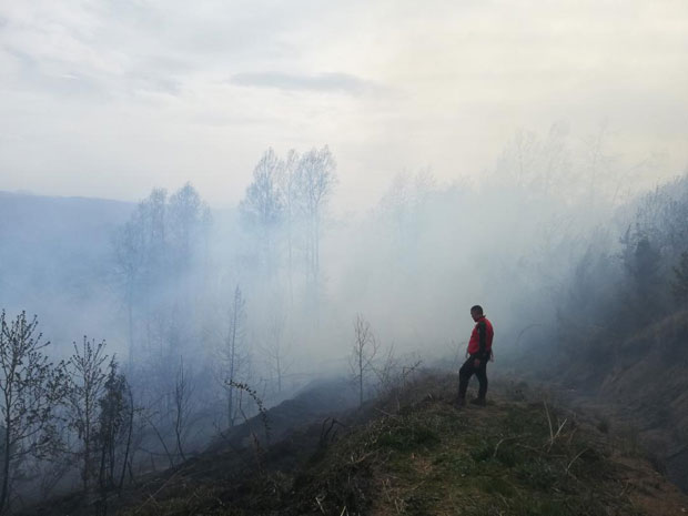 БУКТИ ПОЖАР код манастира Студеница: Гори педесетак хектара борове шуме, велики број ватрогасаца на терену (ФОТО+ВИДЕО)