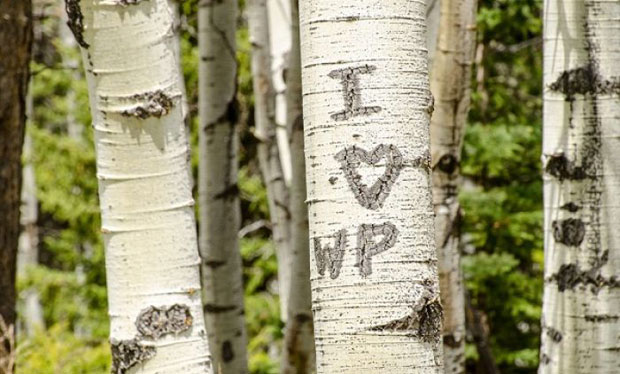 Саберите иницијале: Ако вам је тешко израчунајте свој БАЛАНС БРОЈ и наћи ћете решење!