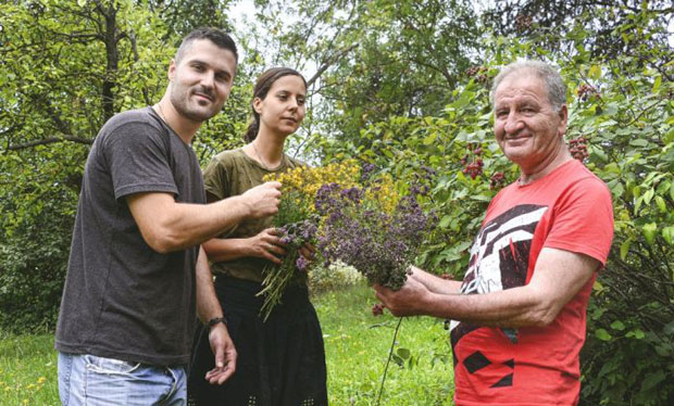 ЧИКА БОРА иде у планину и бере биље, а за сваку бољку има ЛЕК - Нама је открио своје ТАЈНЕ