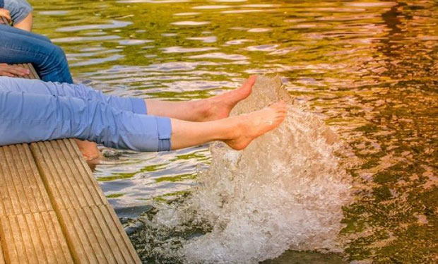 Зашто да плаћате операцију неколико хиљада евра? Оздравите уз помоћ три биљке које можете САМИ узгајати!