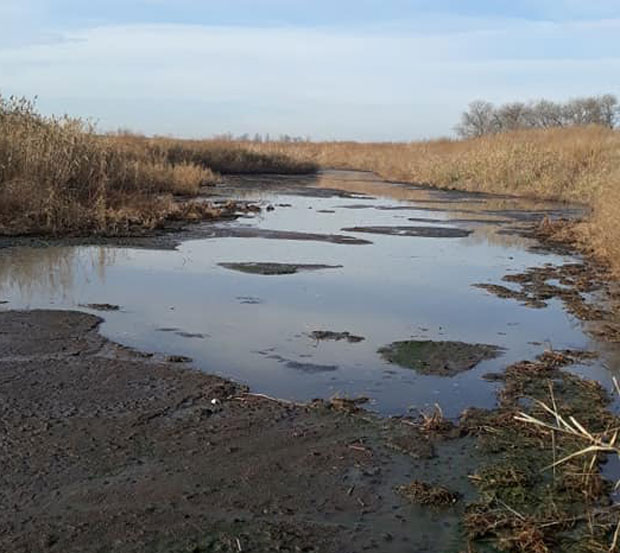 Муке еколога из Србобрана: Заштитили реку, а сад их туже