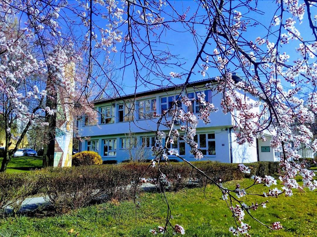 Укинуто одељење на српском, будући туристички техничари учиће - само на мађарском: Скандал у Бачкој Тополи, у Србији не могу да се школују на матерњем језику