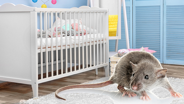 УМРЛА је ГЛАДНА, занемарена, данима је ЛЕЖАЛА МРТВА, а онда су јој пацови појели лице! Језива смрт ДЕВОЈЧИЦЕ (4) са Дауновим синдромом! (ФОТО)