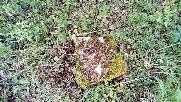  У повратничком селу Жач у Метохији: Албанци ПОНОВО оскрнавили спомен плочу