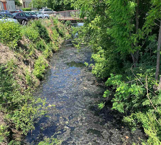 У санацију канала џаба уложено готово милијарду динара: Загађени Бегејац брука индустрије 