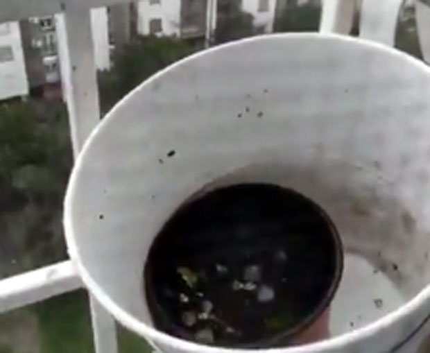 На Новом Београду падао град величине лешника: Корисници друштвених мрежа објавили снимак (ВИДЕО)