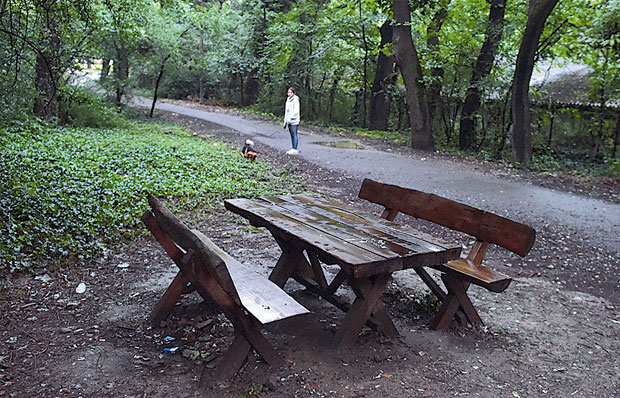 Оштрицом у груди због дуга: Притвор малолетнику за рањавање Лазара Л. (17)