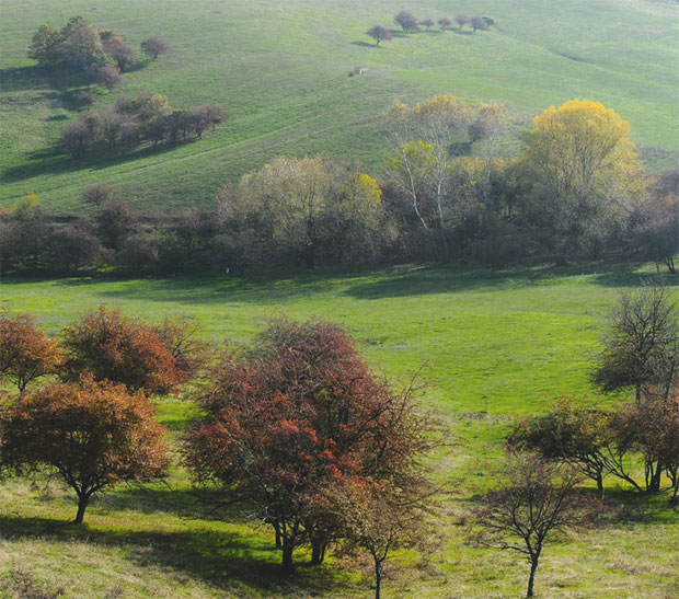 Хоћете у национални парк Фрушка гора? Спремите паре, а ево и колико