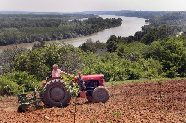 Воћари и  повртари потребни  Београду: Субвенција за аграр скоро 200 милиона