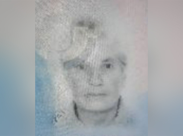 Пронађена Деса која је НЕСТАЛА У СУБОТУ надомак Милића 