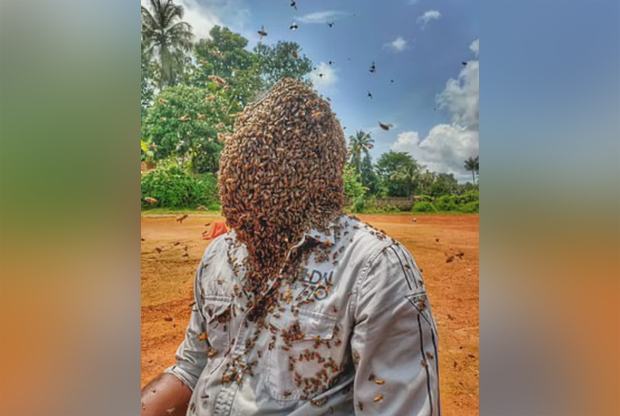 
Имамо посебну ВЕЗУ...: ПЧЕЛЕ су му најбољи другари – држи њих 60.000 на лицу и УЖИВА (ВИДЕО)