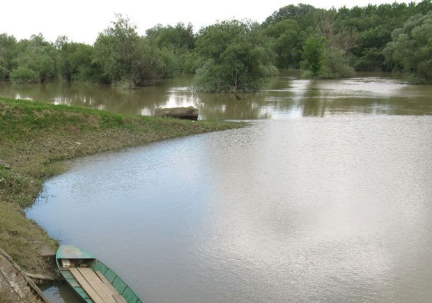 Уведена вранредна одбрана од поплава: Водостај Тамиша од Румуније ка Јаши Томићу и даље расте
