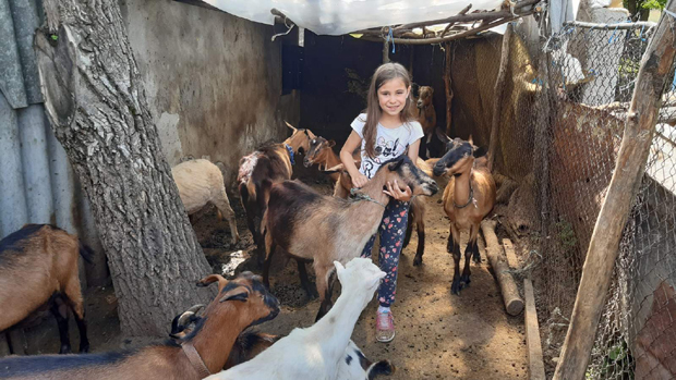 Чува козе и сама прави сир: Малој Зајечарки кућни послови дражи од бицикла