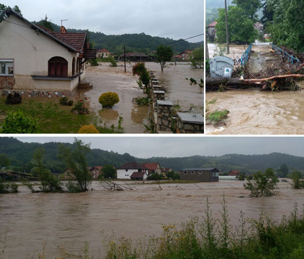 ПОГЛЕДАЈТЕ: ПОТРЕСНЕ слике ГУЧЕ под водом (ФОТО/ВИДЕО)