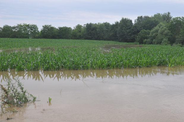 Опада водостај река у краљевачком крају: Вода се СПОРО повлачи (ФОТО)