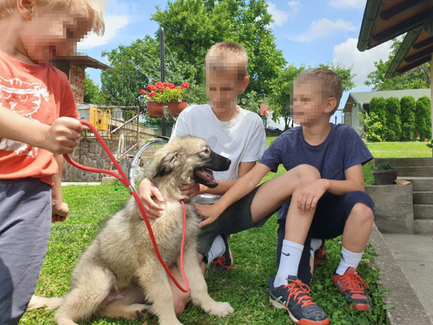 ДРАМА ПОРОДИЦЕ ЋУЛИБРК: Родитељи Матеје (8), чији је шарпланинац поклоњен Путину, два сата били у неизвесности због НЕСТАНКА дечака
