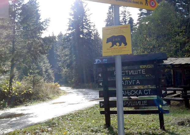 Дошао да пише књигу, недељама боравио у аутомобилу, па ПРЕМИНУО у шумском потоку: Детаљи трагичне смрти Београђанина на Тари