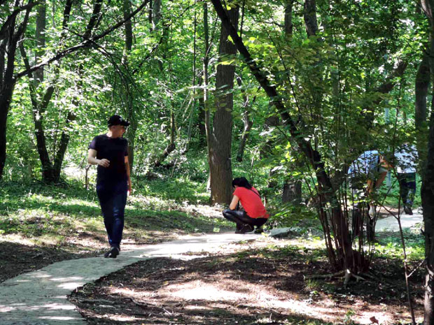Први снимак места ЛИКВИДАЦИЈЕ НА СЕЊАКУ: Овде је убијен Боривоје, екипе и даље НА ТЕРЕНУ (ФОТО/ВИДЕО)